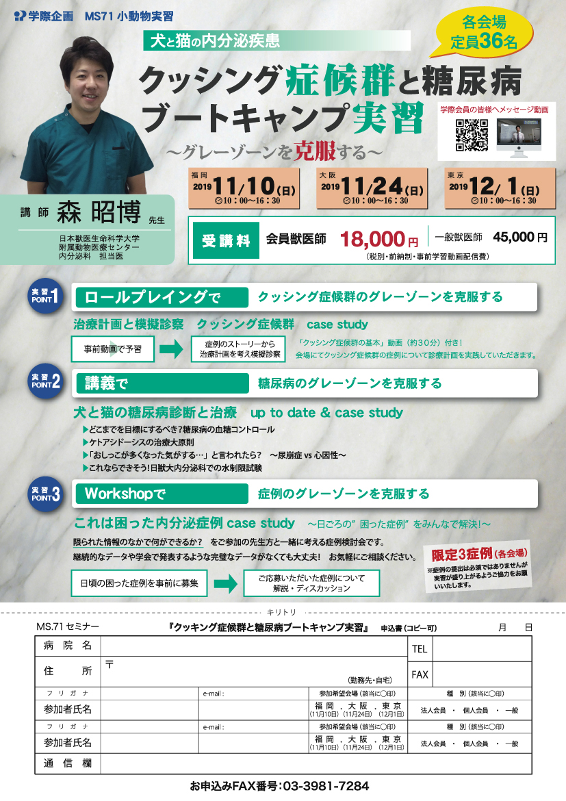 No Ms71 犬と猫の内分泌疾患 クッシング症候群と糖尿病ブートキャンプ実習 学際企画株式会社 No Ms71 犬と猫の内分泌疾患 クッシング症候群と糖尿病ブートキャンプ実習 学際企画株式会社