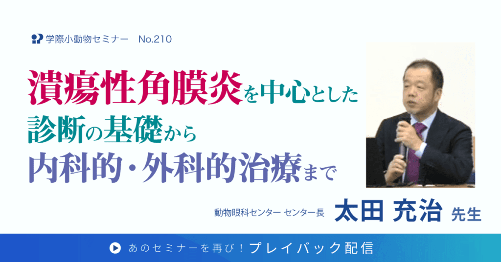 潰瘍性角膜炎を中心とした診断の基礎から内科的・外科的治療まで