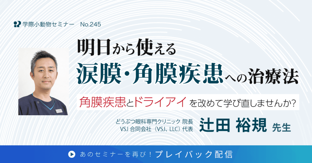 明日から使える涙膜・角膜疾患への治療法