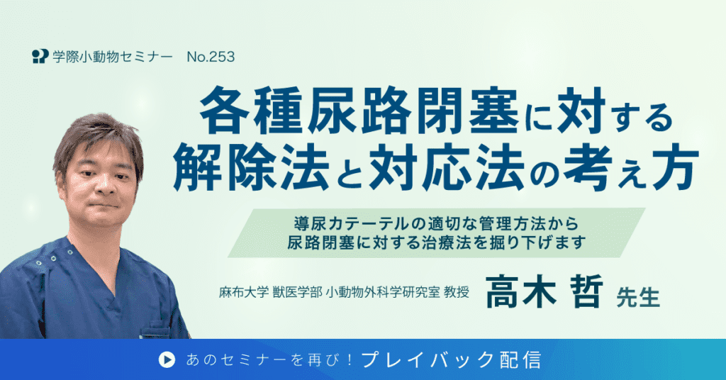 各種尿路閉塞に対する解除法と対応法の考え方