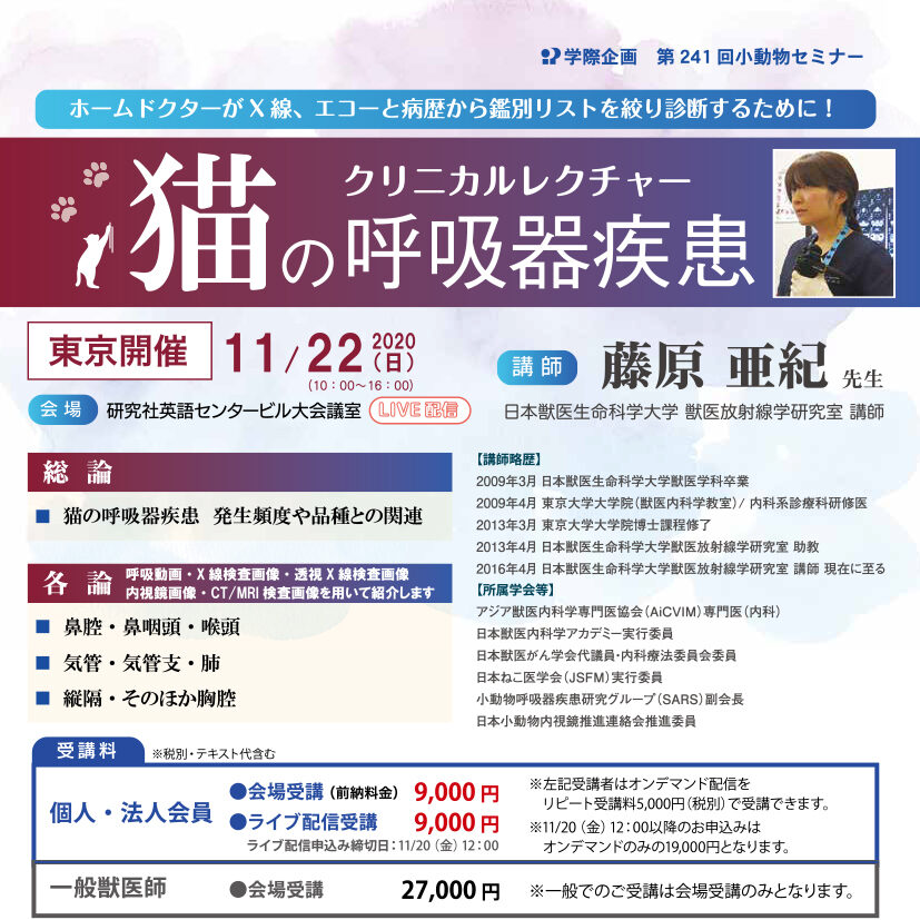 【美品】小動物の内視鏡学 LLLセミナー 三沢厚彦・棚田康司 彫刻される劇場 | 見どころ・チケット・口コミ
