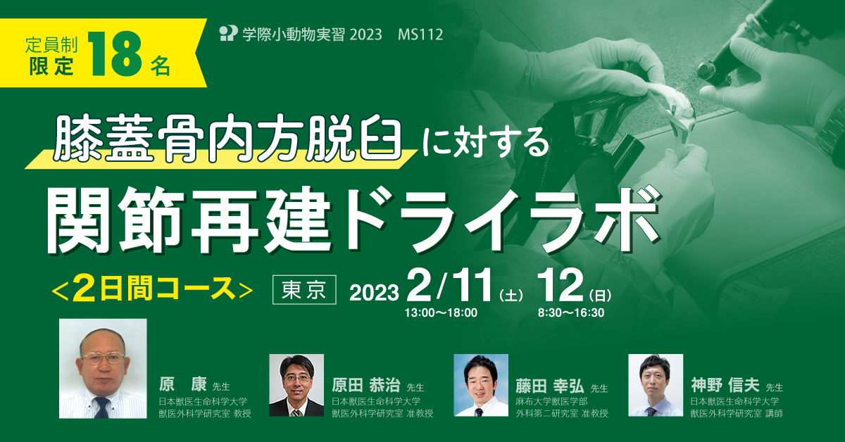 ドライニードリングの手順はどのようなものですか?