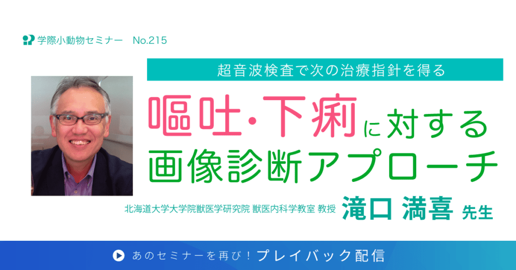 獣医師セミナー｜滝口 満喜 先生「超音波検査で次の治療指針を得る 嘔吐・下痢に対する画像診断アプローチ」