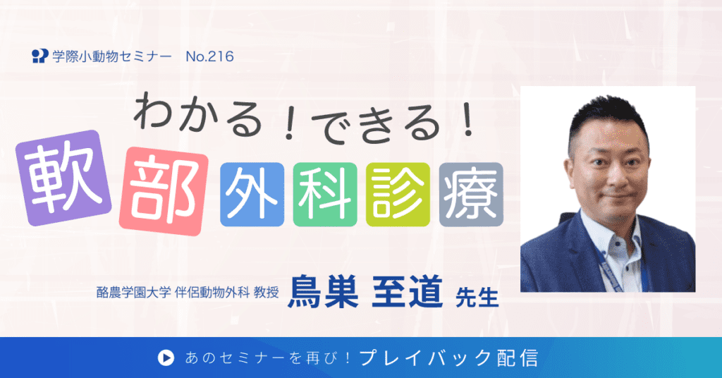 獣医師セミナー｜鳥巣 至道 先生「わかる！できる！軟部外科診療」