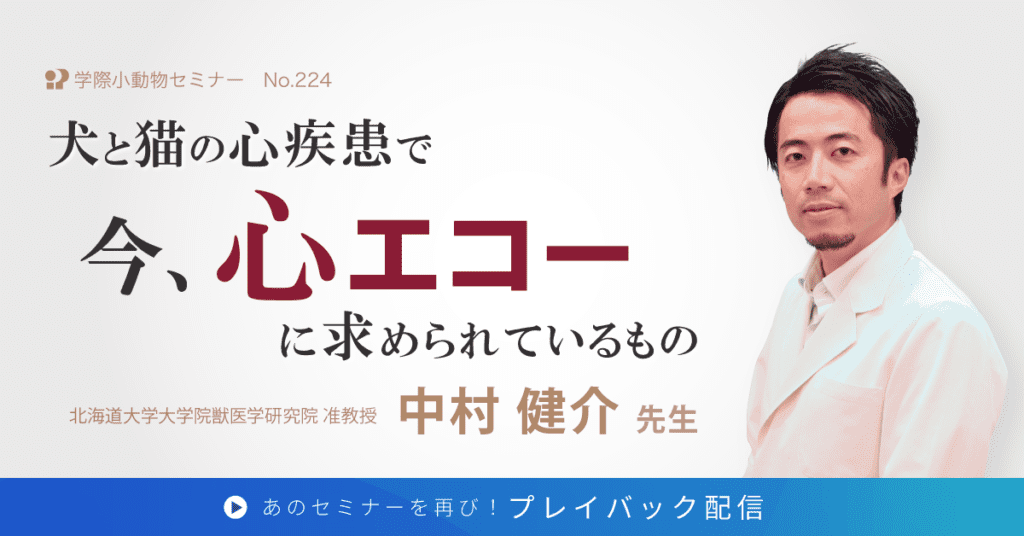 獣医師セミナー｜中村 健介 先生「犬と猫の心疾患で今、心エコーに求められているもの」