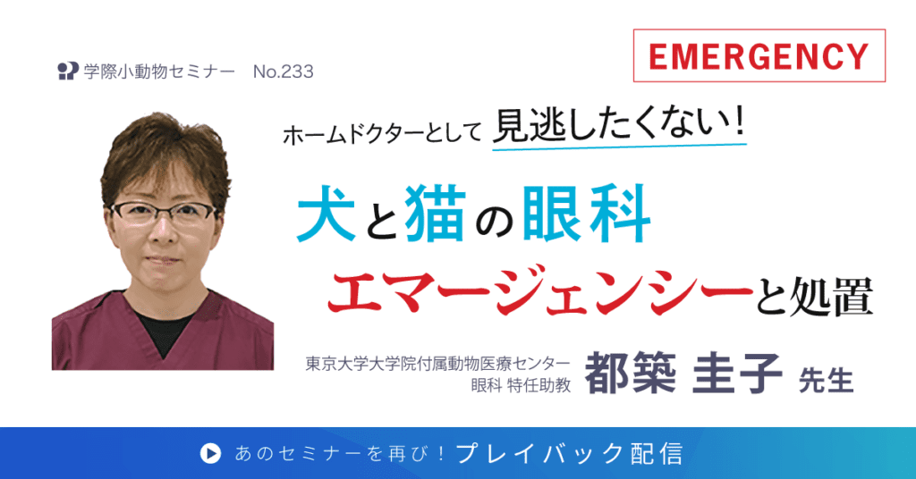 獣医師セミナー｜都築 圭子 先生「犬と猫の眼科エマージェンシーと処置」