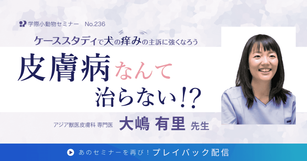 獣医師セミナー｜大嶋 有里 先生「ケーススタディで犬の痒みの主訴に強くなろう 皮膚病なんて治らない!?」