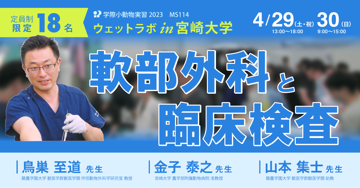 獣医外科学 MS114 軟部外科と臨床検査 ウェットラボ in 宮崎大学 | 学際企画