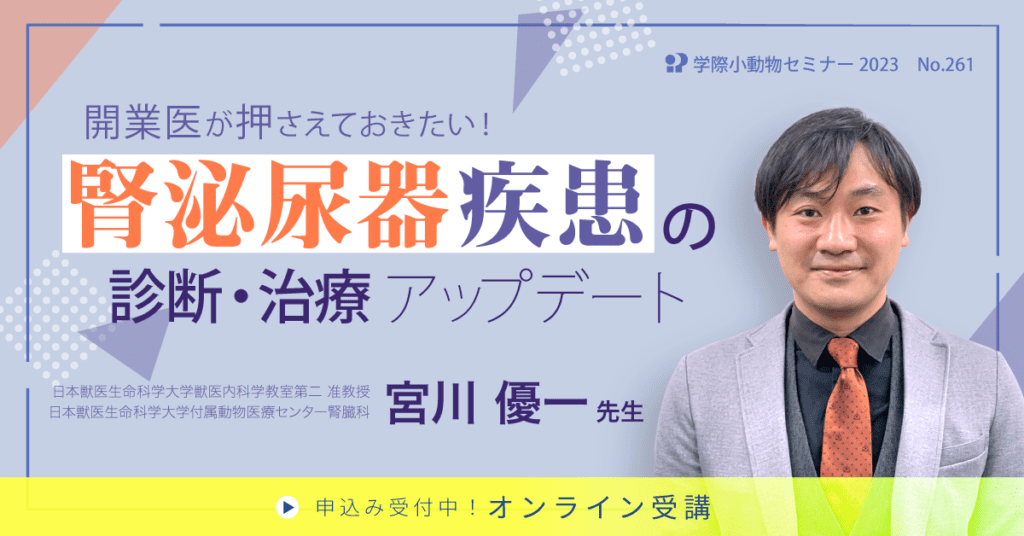 獣医師セミナー｜宮川優一 先生「No.261 開業医が押さえておきたい腎泌尿器疾患の診断・治療アップデート」