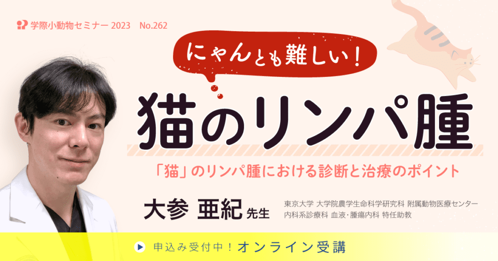 獣医師セミナー｜No.262 大参亜紀先生「にゃんとも難しい！猫のリンパ腫」