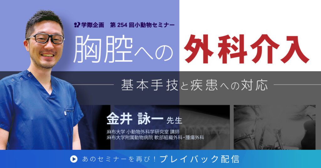 獣医師セミナー｜金井詠一先生「胸腔への外科介入」