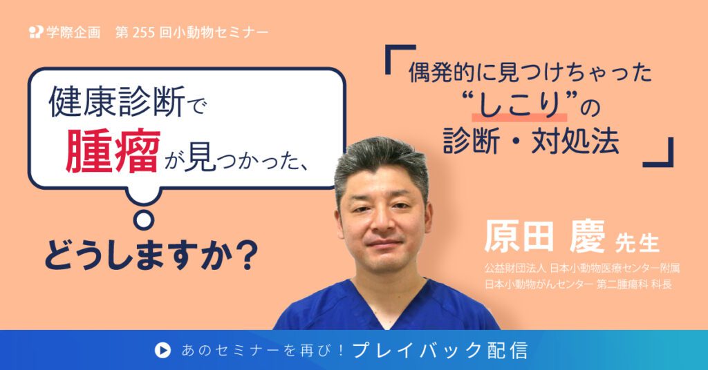 獣医師セミナー｜原田慶先生 「健康診断で腫瘤が見つかった、どうしますか？」