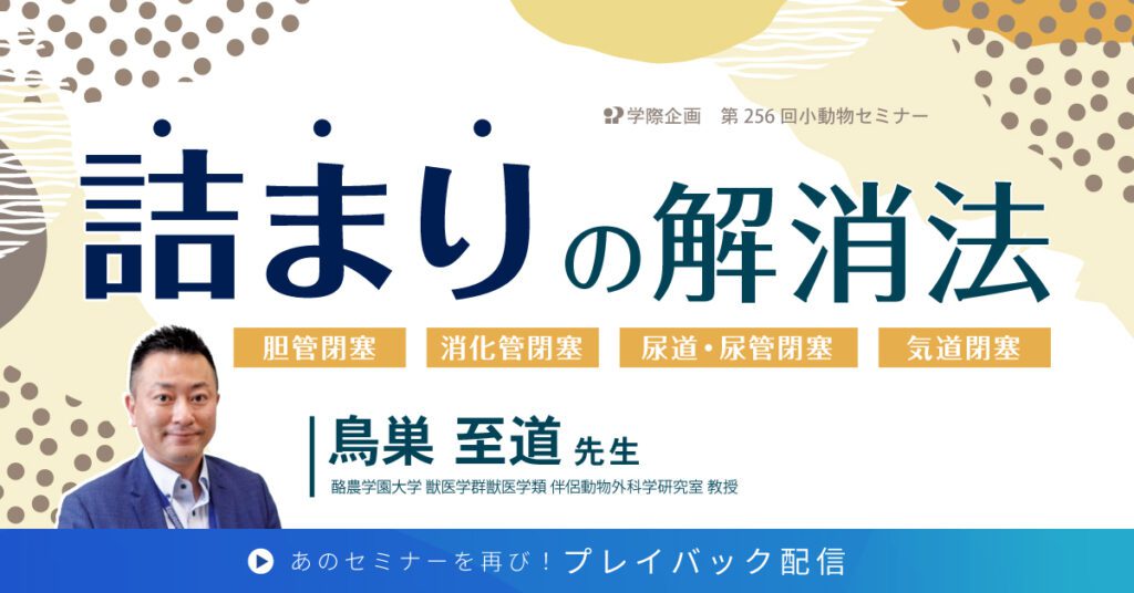 獣医師セミナー｜鳥巣至道先生 「詰まりの解消法」