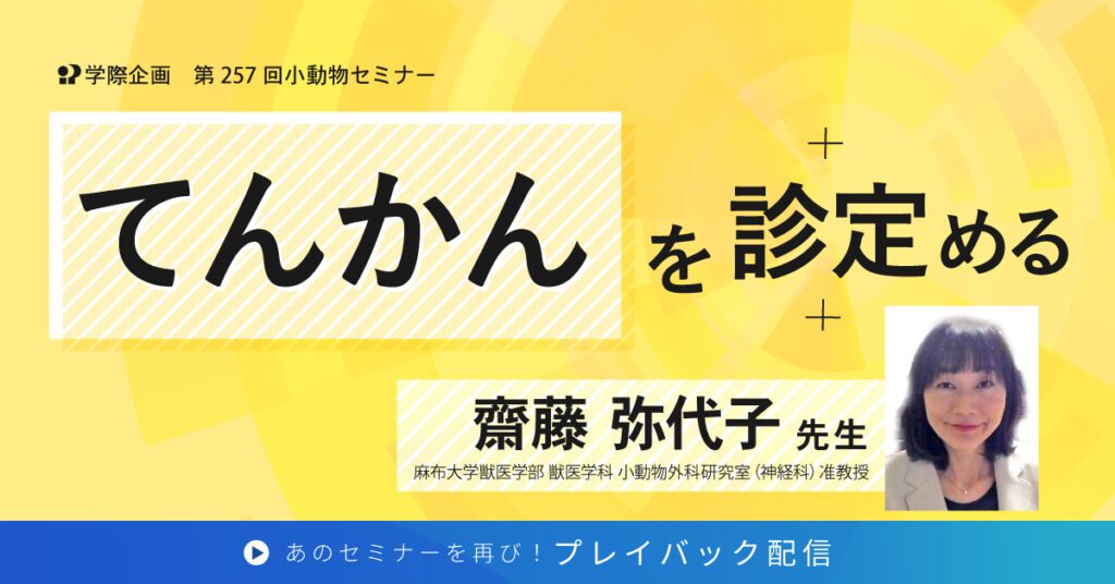 獣医師セミナー｜齋藤弥代子先生 「てんかんを診定める」