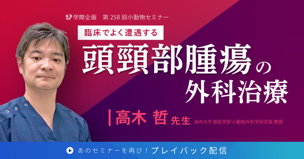 獣医師セミナー｜高木哲先生 「頭頸部腫瘍の外科治療」