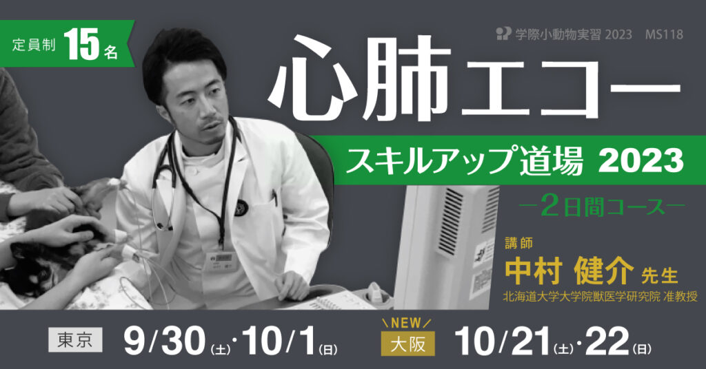 獣医師ハンズオン 2日間コース｜中村健介先生「心肺エコースキルアップ道場 2023」