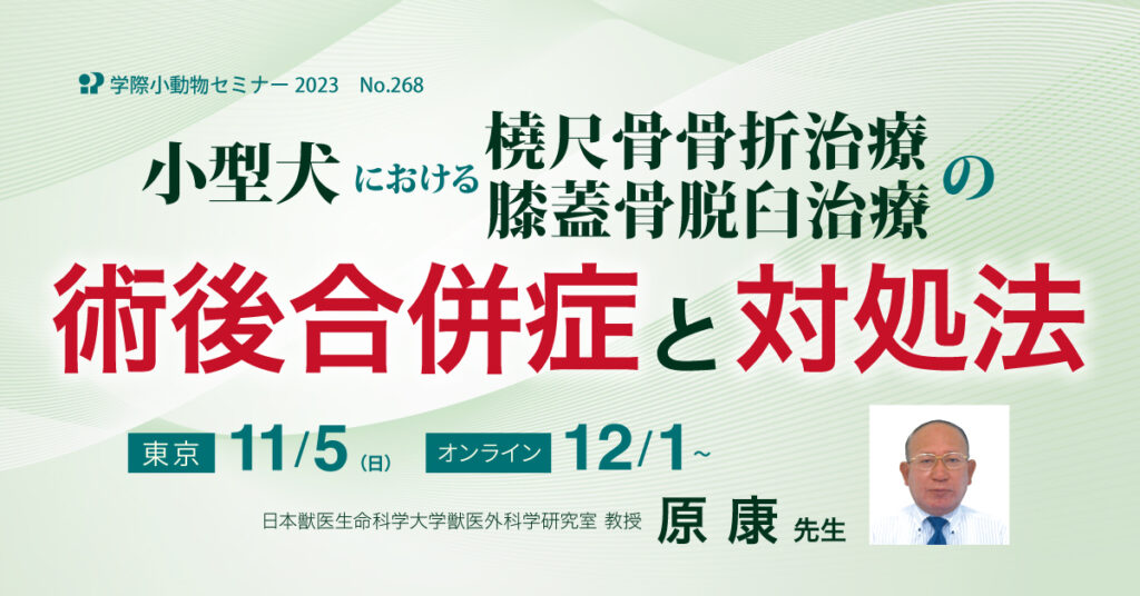 獣医師セミナー｜小型犬における橈尺骨骨折治療・膝蓋骨脱臼治療の術後合併症と対処法