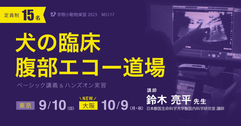 獣医師セミナー｜犬の臨床 腹部エコー道場 鈴木 亮平 先生