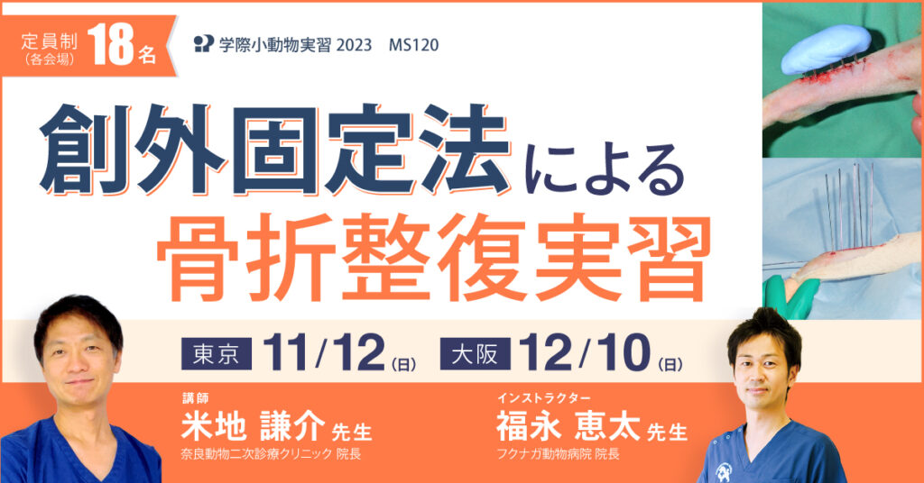 獣医師ハンズオン｜整形外科スキルアップセミウェットラボ 創外固定法による骨折整復実習