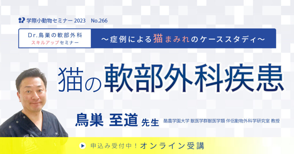 獣医師セミナー｜No.266 鳥巣至道先生「猫の軟部外科疾患」