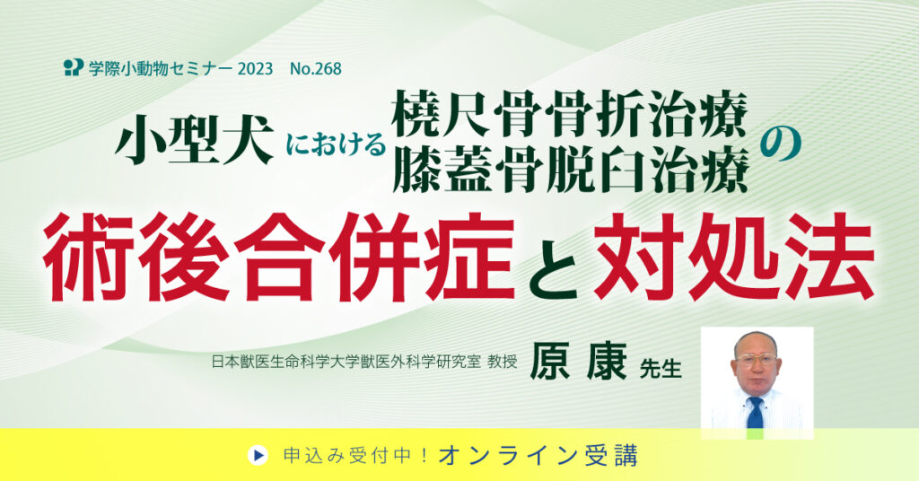 獣医師セミナー｜小型犬における橈尺骨骨折治療・膝蓋骨脱臼治療の術後合併症と対処法