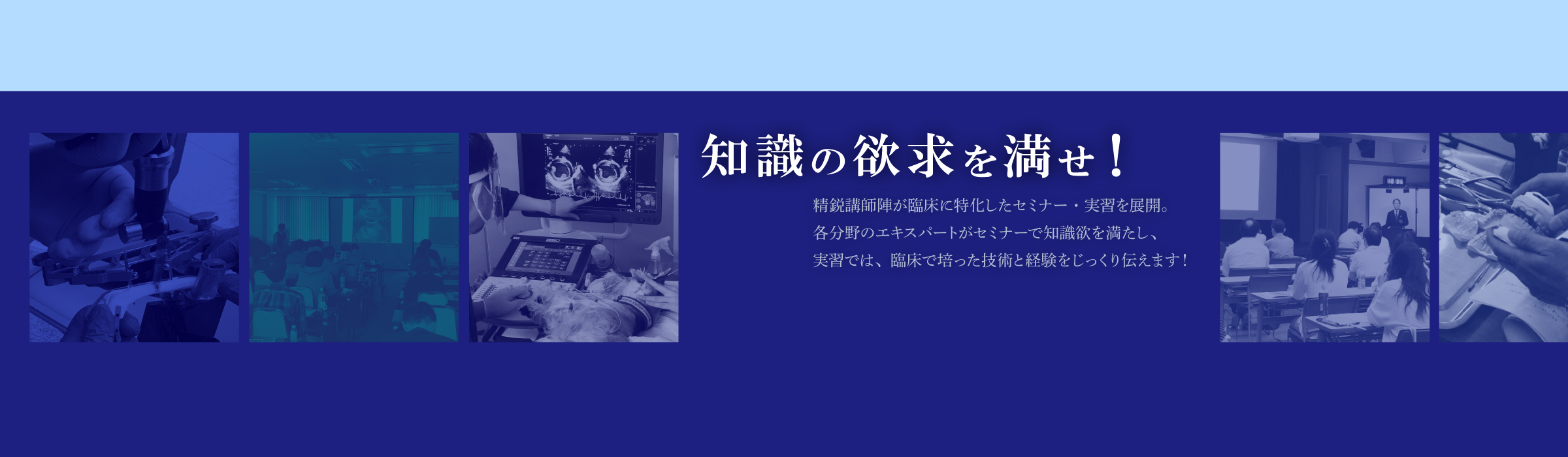 精鋭講師陣による臨床に特化したセミナーを展開