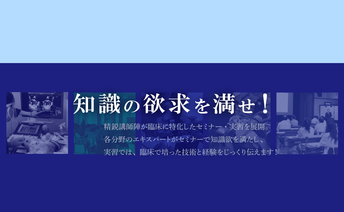 精鋭講師陣による臨床に特化したセミナーを展開