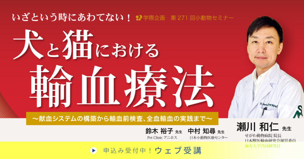 瀬川和仁先生「いざという時にあわてない！ 犬と猫における輸血療法」獣医師セミナー