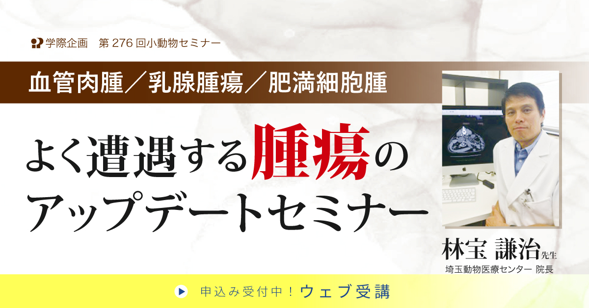 No.276　よく遭遇する腫瘍のアップデートセミナー