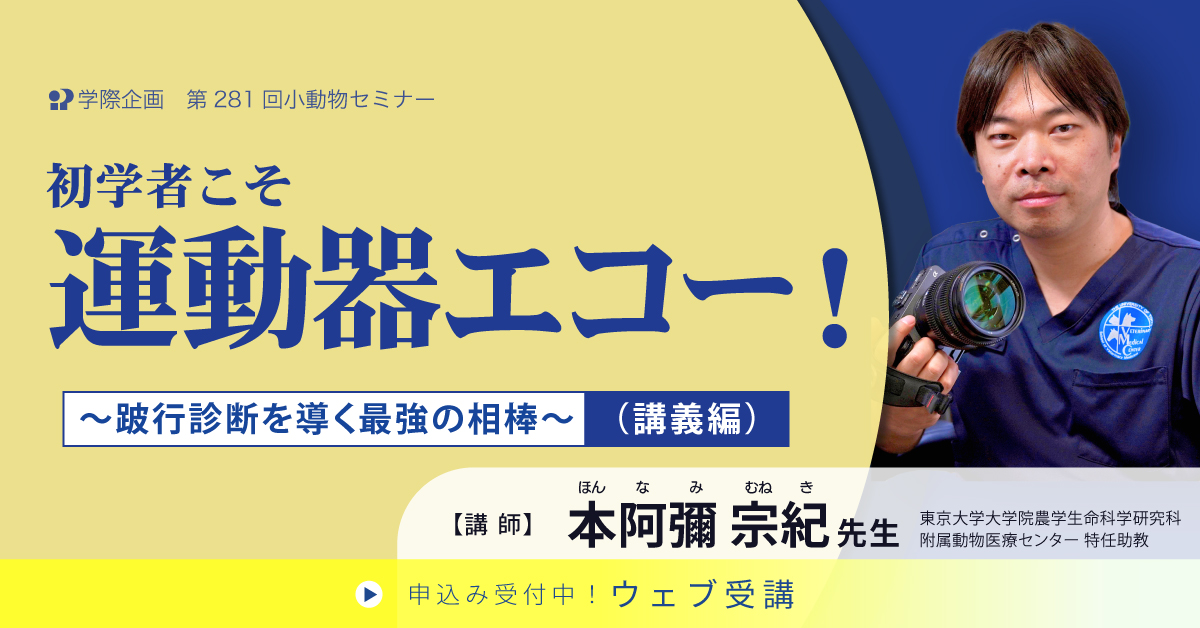 No.281　初学者こそ運動器エコー！