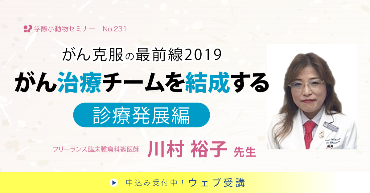 No.231　がん克服の最前線2019　がん治療チームを結成する