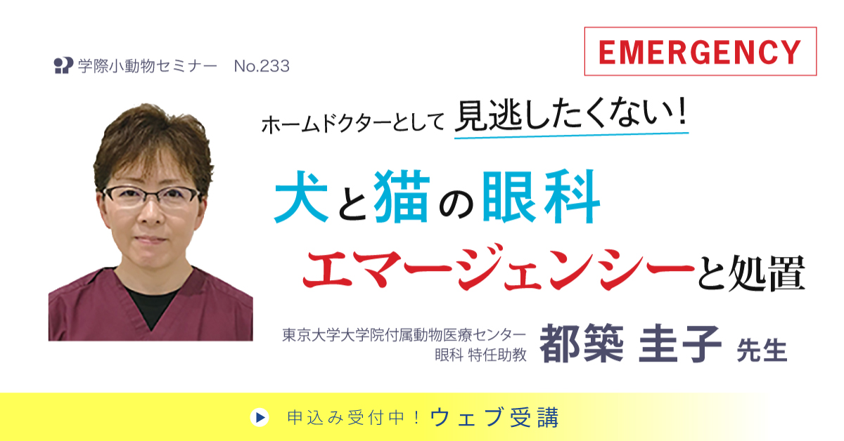 No.233　犬と猫の眼科エマージェンシーと処置