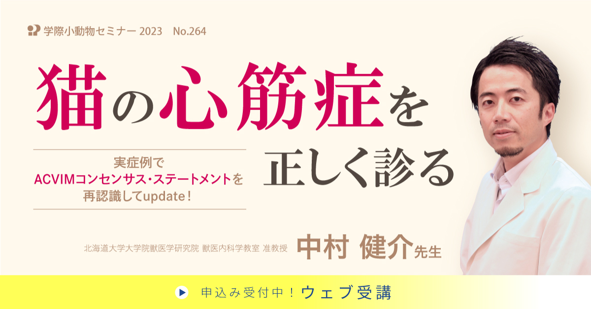 No.264　猫の心筋症を正しく診る