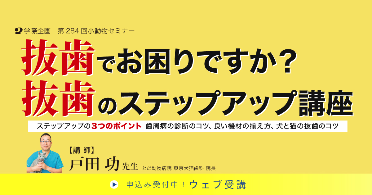No.284　抜歯でお困りですか？ 抜歯のステップアップ講座