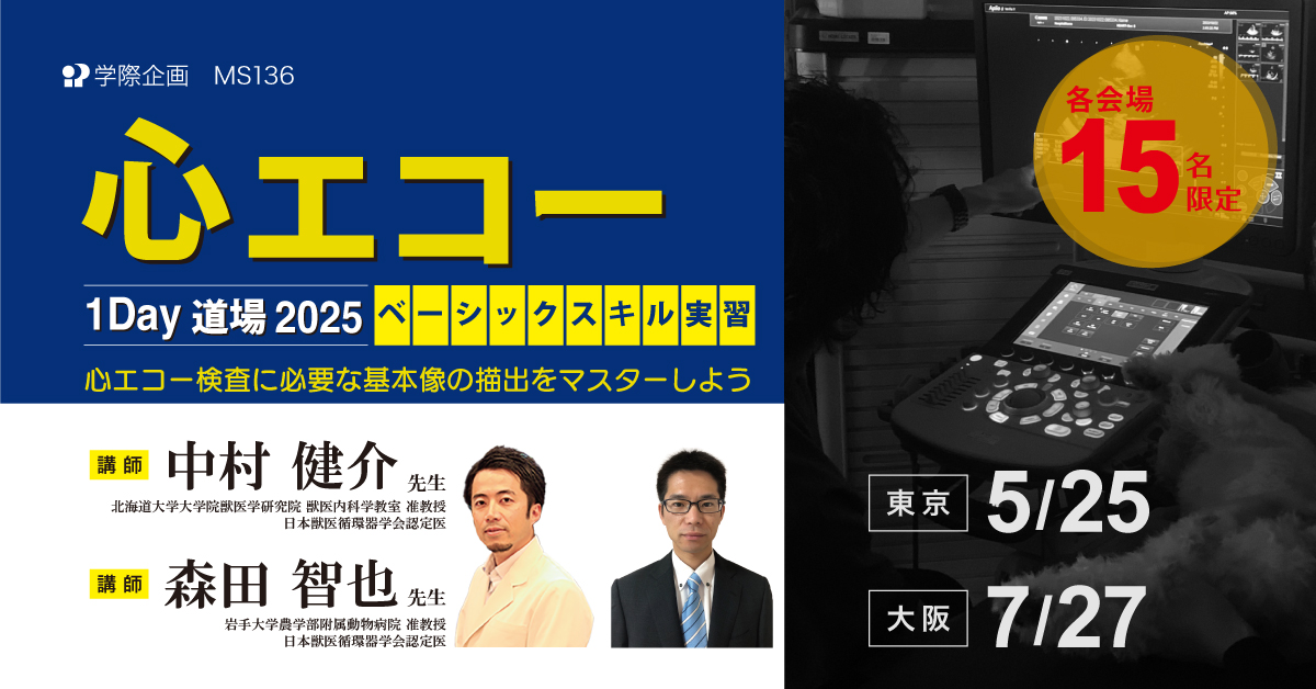 MS136　心エコー1Day道場 2025 ベーシックスキル実習