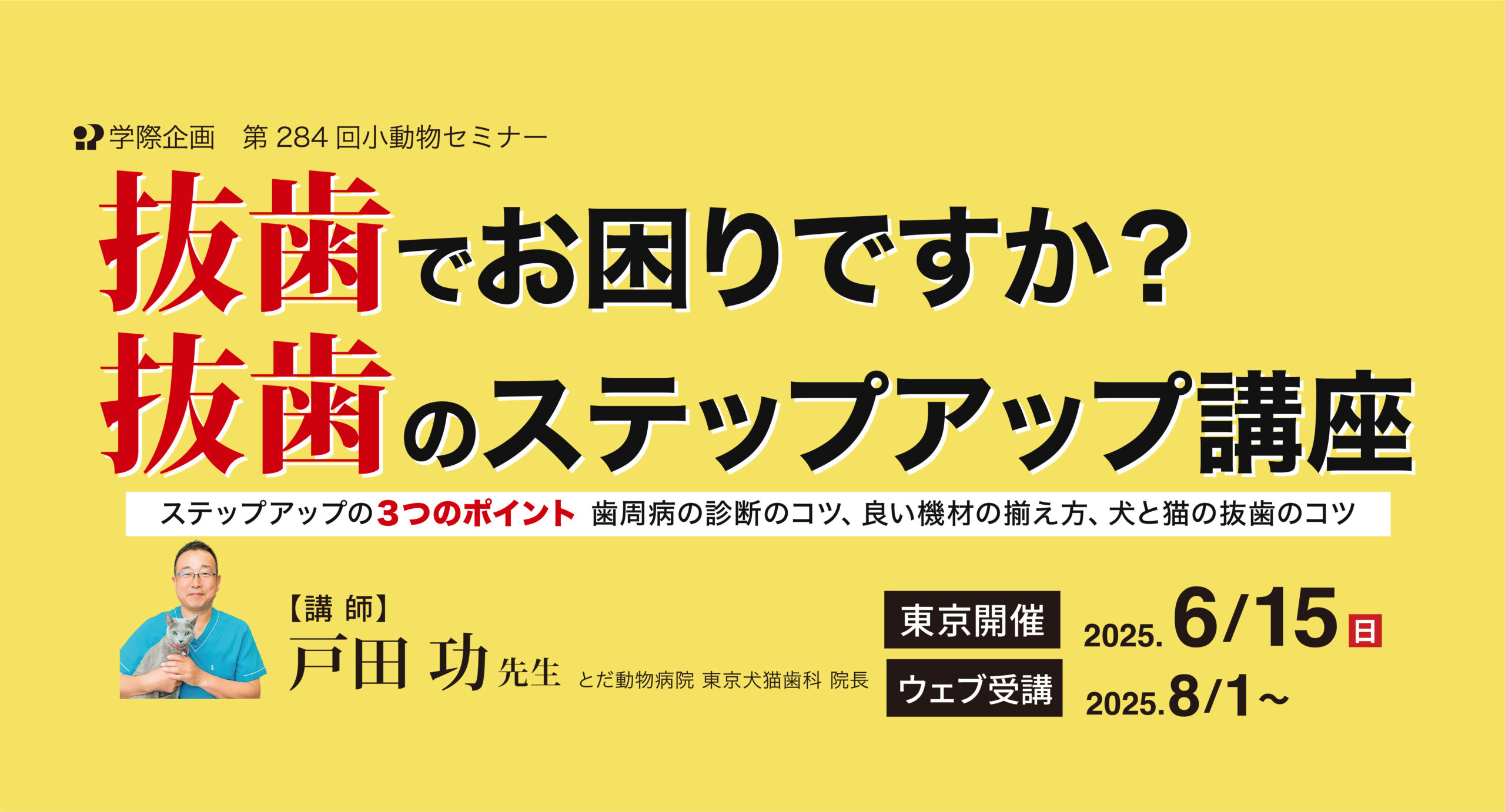 No.284　抜歯でお困りですか？ 抜歯のステップアップ講座