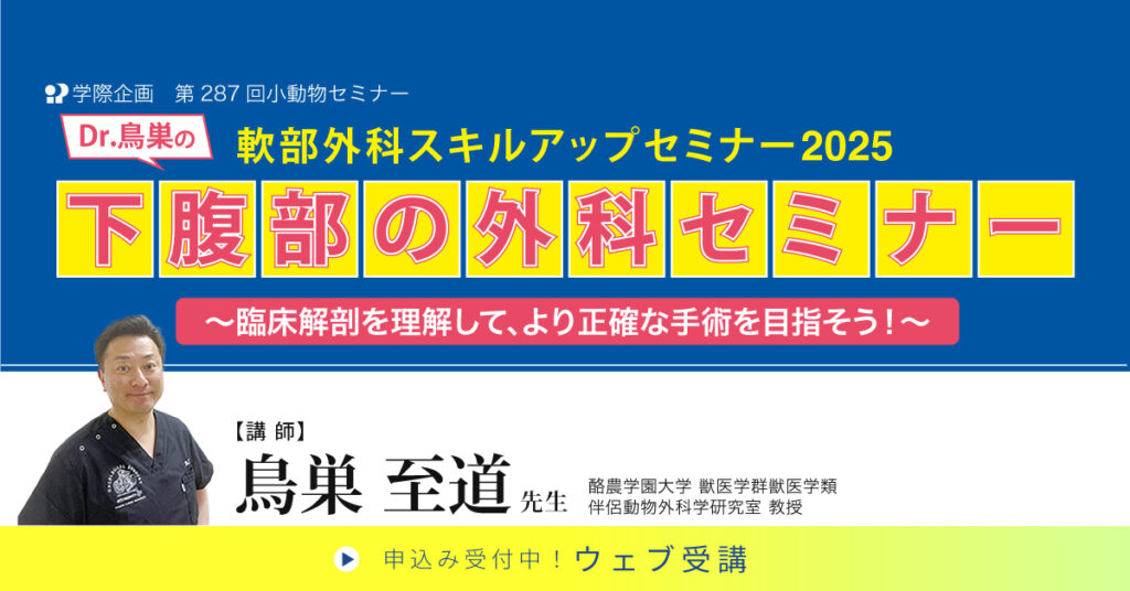 Dr.鳥巣の軟部外科のスキルアップセミナー2025下腹部の外科セミナー