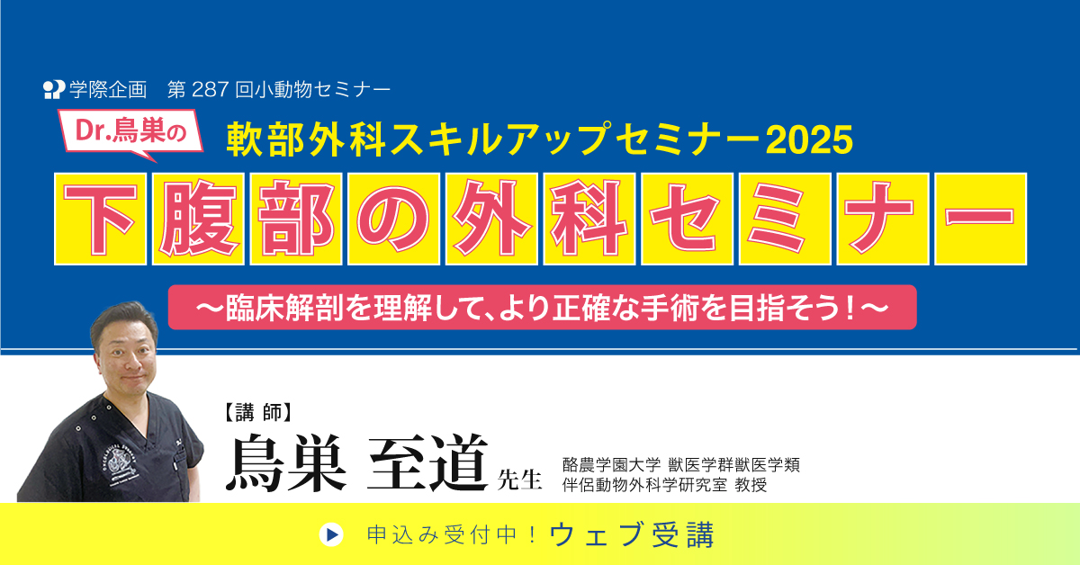 No.287　Dr.鳥巣の軟部外科スキルアップセミナー2025 下腹部の外科セミナー