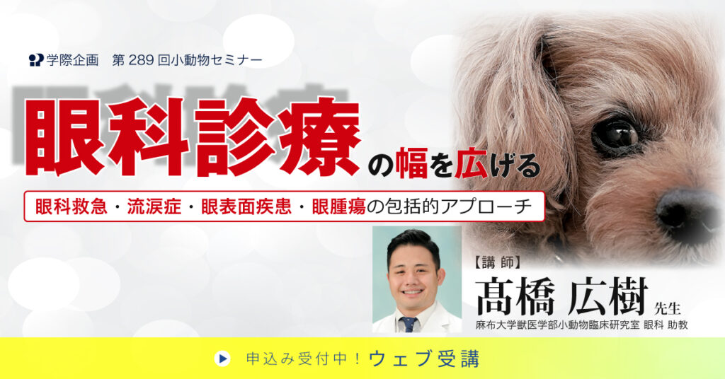 眼科診断の幅を広げる