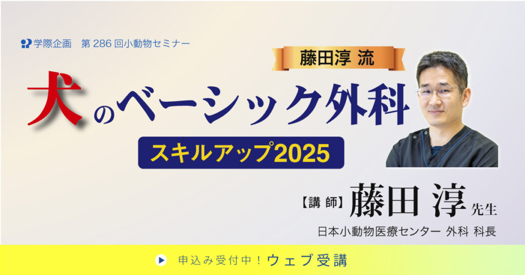 藤田淳流 犬のベーシック外科スキルアップ2025