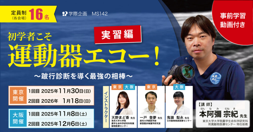 初学者こそ運動器エコー実習編