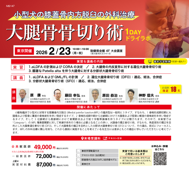 小型犬の膝蓋骨内方脱臼の外科治療 大腿骨骨切り術1DAYドライラボ