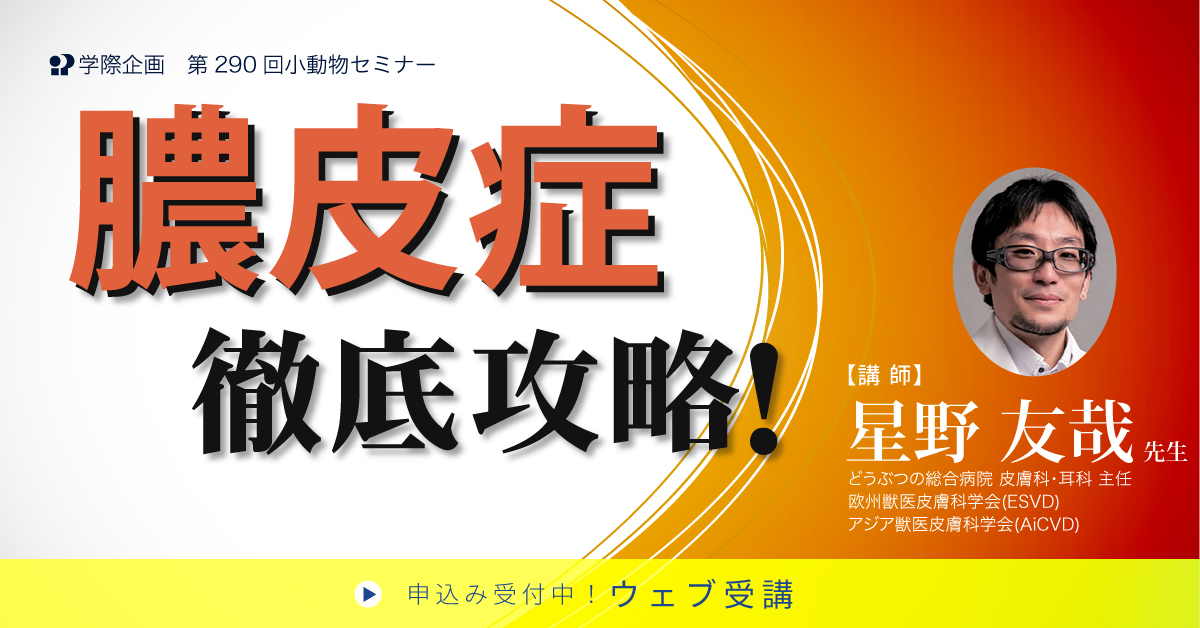 No.290　膿皮症徹底攻略!