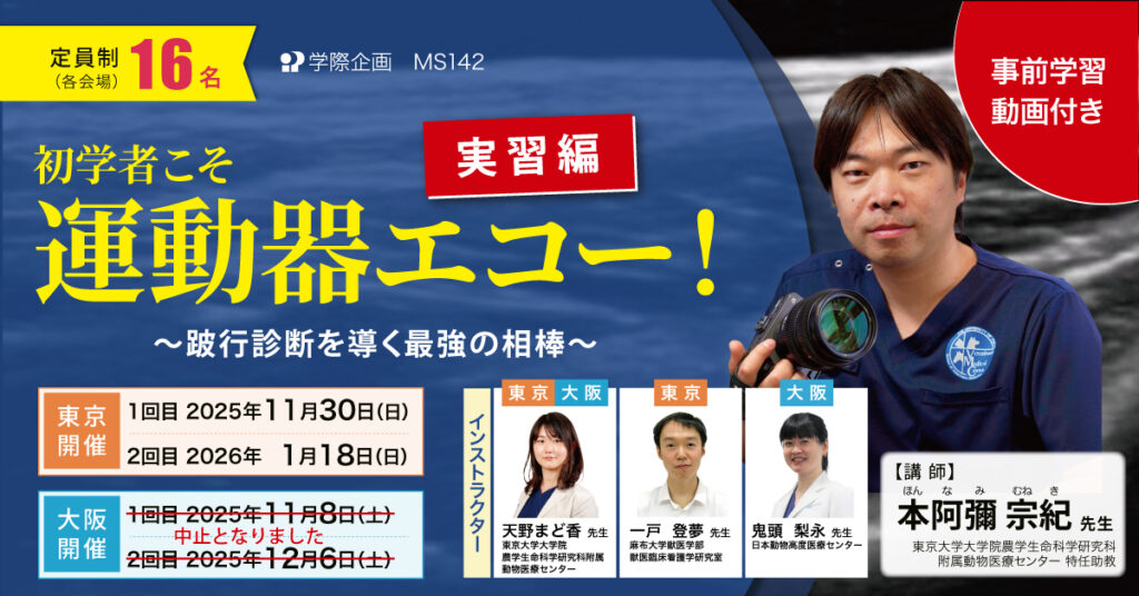 初学者こそ運動器エコー！　実習編