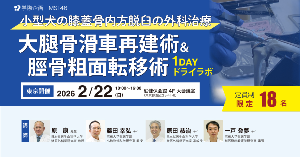 MS146　小型犬の膝蓋骨内方脱臼の外科治療⼤腿⾻滑⾞再建術＆脛骨粗面転移術1DAYドライラボ