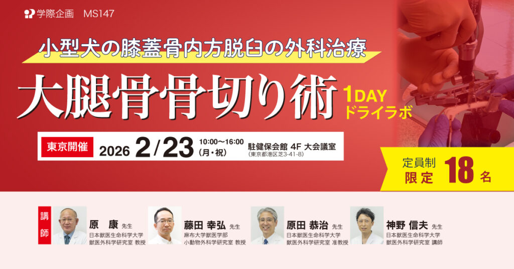 小型犬の膝蓋骨内方脱臼の外科治療大腿骨骨切り術