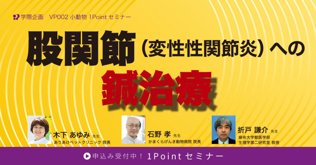 股関節（変性性関節炎）への鍼治療