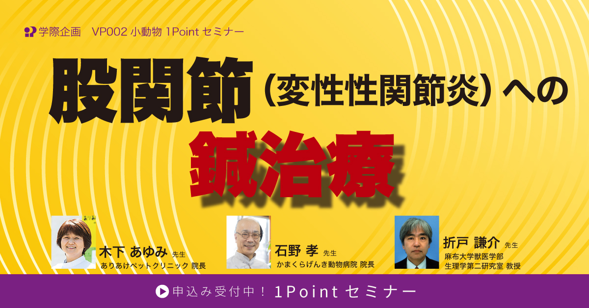 VP002 股関節(変性性関節炎)への鍼治療