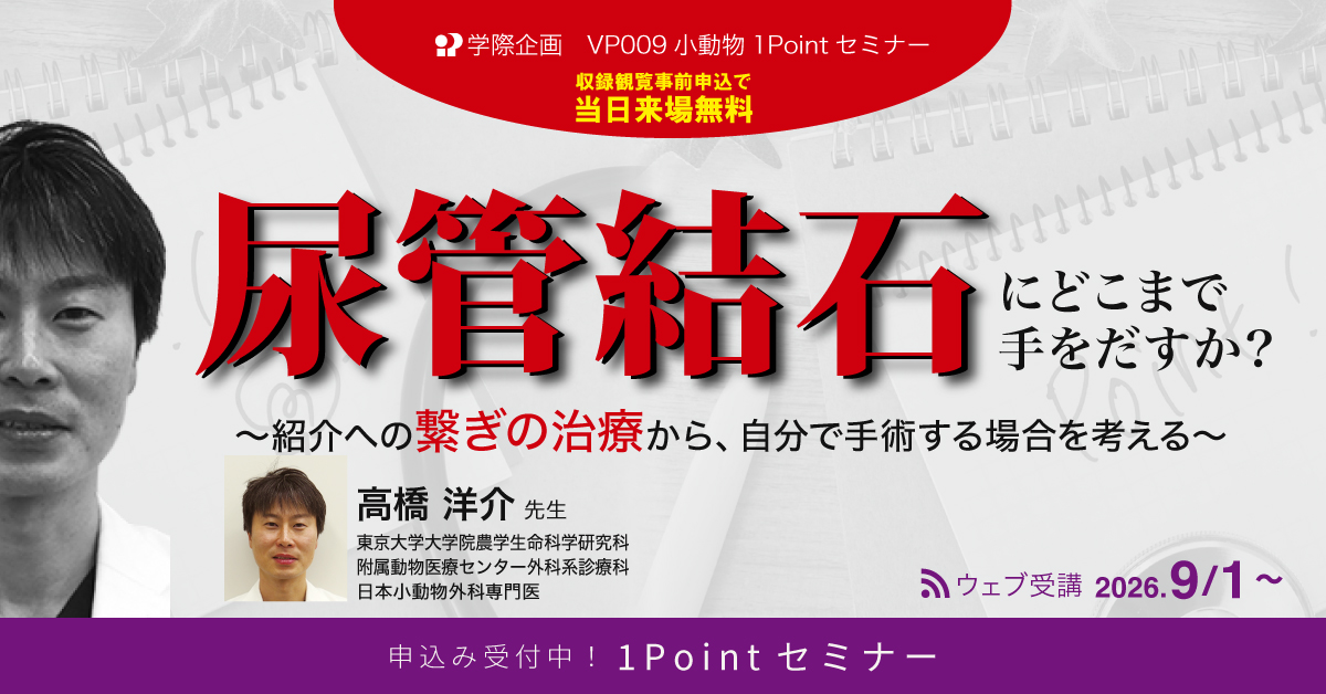 VP009　尿管結石にどこまで手をだすか？