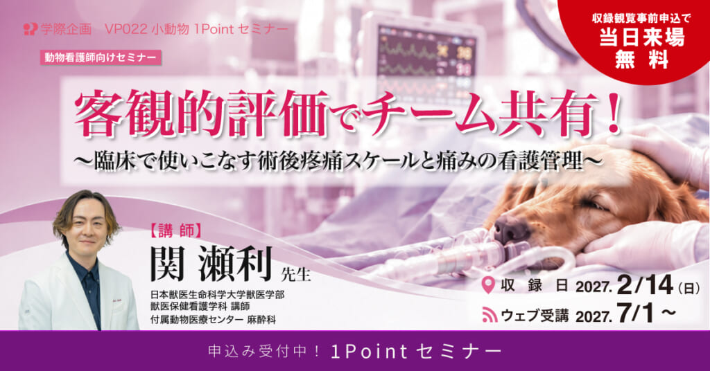 客観的評価でチーム共有！